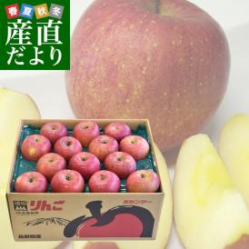 長野県産 JAながの他 サンふじ 大玉サイズ 超盛り10キロ（24玉から28玉）さんふじ リンゴ 林檎 送料無料 市場発送