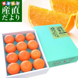 広島県産 JA三原せとだ「瀬戸田のハウスせとか」 3キロ 優以上 Lから3Lサイズ（10玉から15玉）柑橘 かんきつ オレンジ  市場スポット  送料無料