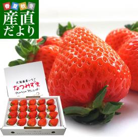 北海道より産地直送 高級いちご なつみずき　約300g（20粒から24粒）化粧箱入り イチゴ 苺 夏イチゴ
