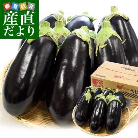 高知県産　JAグループ高知　米なす　A級品9玉　約2.5キロ　送料無料　べいなす　茄子　ナス　市場発送