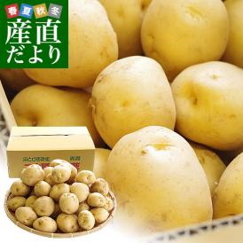 静岡県産 JAとぴあ浜松 三方原馬鈴薯 秀品 Lサイズ　5キロ（30玉から40玉前後） 送料無料　大田市場発送品 じゃがいも ジャガイモ