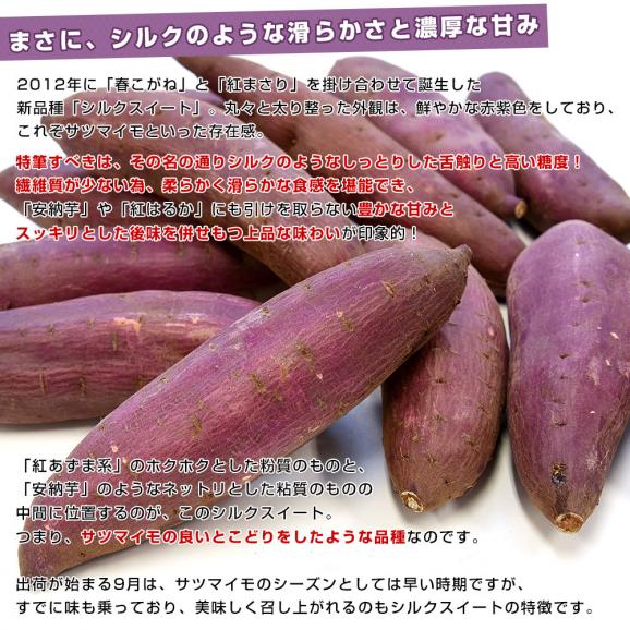 千葉県産　JAかとり　シルクスイート　Lサイズ2.5キロ　7本前後　送料無料　さつまいも　サツマイモ　薩摩芋　新芋　市場発送05