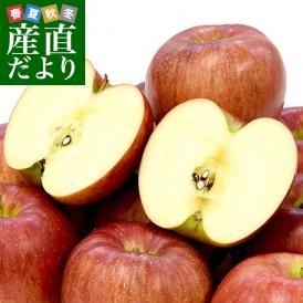 福島県より産地直送 JAふくしま未来「シナノスイート」秀品 約2.8キロ(8玉から10玉)×2箱 りんご 林檎 リンゴ 送料無料
