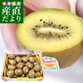 チリ産 キウイフルーツ 緑肉 約5ｋｇ 50個前後 京の老舗の果物屋 鳥羽伊三の通販 お取り寄せなら ぐるすぐり