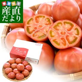 静岡県産又は長野県産　高糖度トマト　アメーラ　900g前後　Sから2L (9玉から20玉入) 送料無料 市場発送