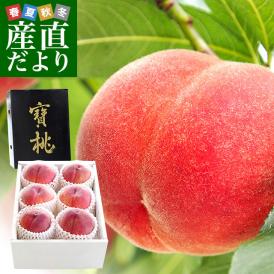 選び抜かれた大玉の桃、最高級品質「寶桃」登場です
