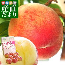 和歌山県より産地直送 JA紀の里 紀の里の桃 特秀品 1.8キロ (6玉から8玉) 送料無料 桃 もも