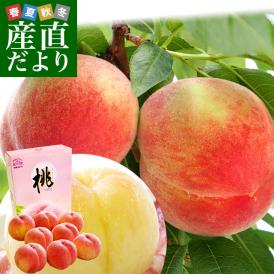 和歌山県より産地直送 JA紀の里 紀の里の桃  赤秀品 1.8キロ (6玉から8玉) 送料無料 桃 もも