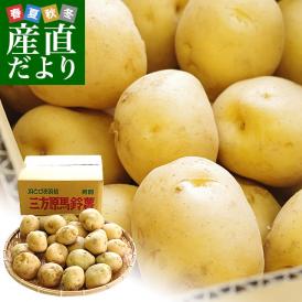 静岡県産 JAとぴあ浜松 三方原馬鈴薯 秀品 2Lサイズ　5キロ（20玉から30玉前後） 送料無料　大田市場発送品 じゃがいも ジャガイモ