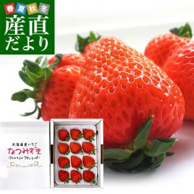 北海道より産地直送 高級いちご なつみずき　約300g（12粒）化粧箱入り イチゴ 苺 夏イチゴ