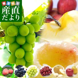 JAながの 産地直送　果物頒布会（桃・ぶどう・梨・りんご　8月から12月まで5回お届け）