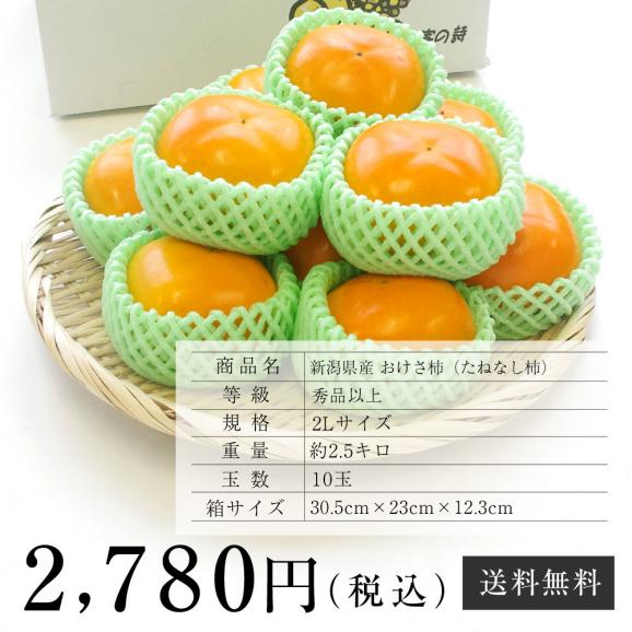 送料無料 新潟県産 おけさ柿 たねなし柿 2lサイズ 約2 5キロ 10玉 たねなし柿 おけさがき オケサカキ 産直だより Plus の通販 お取り寄せなら ぐるすぐり