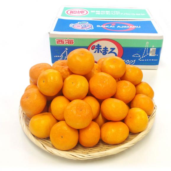 送料無料 長崎県産 ｊａながさき西海 西海みかん 味まる Mサイズ5キロ 赤秀品 みかん 早生みかん 産直だより Plus の通販 お取り寄せなら ぐるすぐり