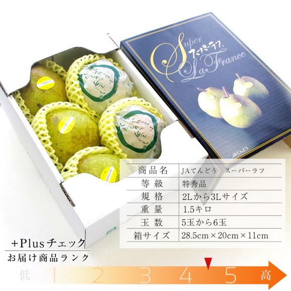 送料無料 山形県産 Jaてんどう スーパーラフ 特秀品 ２l以上 糖度14度以上 1 5キロ箱 5から6玉 高糖度 ラフランス ラ フランス 洋梨 洋ナシ 産直だより Plus の通販 お取り寄せなら ぐるすぐり