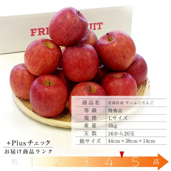 青森県産 サンふじりんご 特秀品 Lサイズ 5キロ 16玉から玉 送料無料 ふじりんご 林檎 産直だより Plus の通販 お取り寄せなら ぐるすぐり