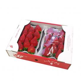 佐賀県産 新 ブランド苺 いちごさん 秀品 ３Lから２Lサイズ 1箱 約540g (270g×2パック） 送料無料 イチゴ