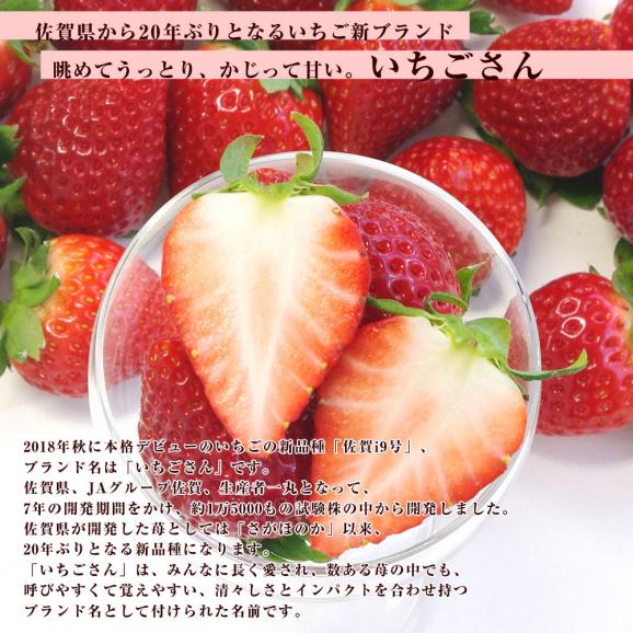 佐賀県産 新 ブランド苺 いちごさん 秀品 ３Lから２Lサイズ 1箱 約540g 