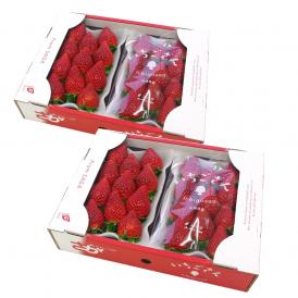 佐賀県産 新ブランド苺 いちごさん 秀品 ３Lから２Lサイズ ２箱セット 　(約540g×2箱) 送料無料 イチゴ
