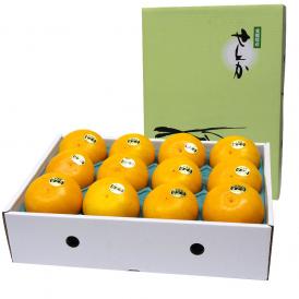 送料無料　愛媛産　せとか　赤秀品　2Lサイズ　3キロ (12玉)　柑橘　タンゴール　オレンジ