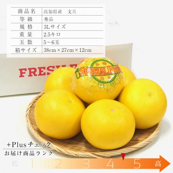 同行 ピストン ふりをする ぶん たん 果物 Rurudo Jp 同行 ピストン ふりをする ぶん たん 果物 Rurudo Jp