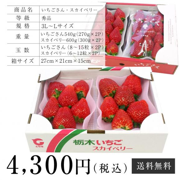 栃木県産スカイベリーと佐賀県産いちごさんの大人気いちご2箱セット スカイベリー600gといちごさん540g 送料無料イチゴ 苺 産直だより Plus の通販 お取り寄せなら ぐるすぐり