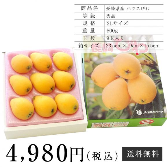 送料無料 長崎県産 ハウス長崎びわ 2lサイズ 500g化粧箱 9玉入り 枇杷 産直だより Plus の通販 お取り寄せなら ぐるすぐり