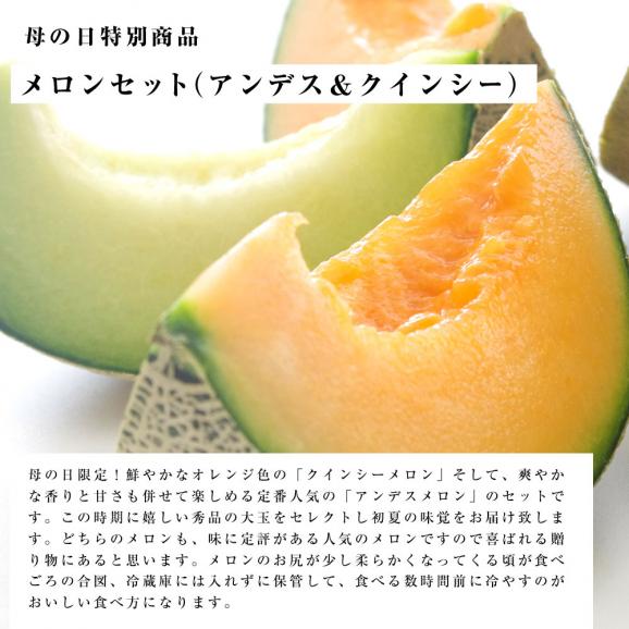 送料無料 熊本県 茨城県産 母の日メロンセット アンデス クインシー 秀品 3lサイズ 約2 5キロ 各1玉ずつ 青肉メロン 赤肉メロン 産直だより Plus の通販 お取り寄せなら ぐるすぐり