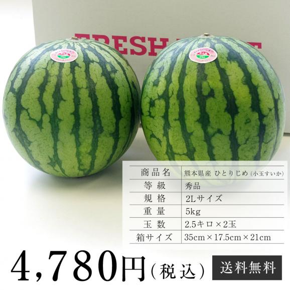 送料無料 熊本県産 ひとりじめ 小玉すいか 秀品 2lサイズ 2 5キロ 2玉 化粧箱 スイカ 西瓜 産直だより Plus の通販 お取り寄せなら ぐるすぐり 送料無料 熊本県産 ひとりじめ 小玉すいか 秀品 2lサイズ 2 5キロ 2玉 化粧箱 スイカ 西瓜 産直だより Plus の通販 お取り寄せなら ぐるすぐり