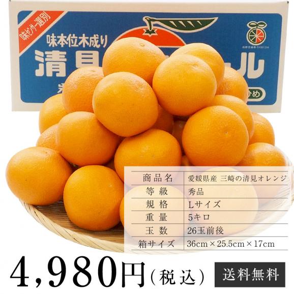 送料無料 愛媛県産 三崎の清見オレンジ 秀品 Lサイズ 5キロ箱 26玉前後 柑橘 タンゴール かんきつ 産直だより Plus の通販 お取り寄せなら ぐるすぐり