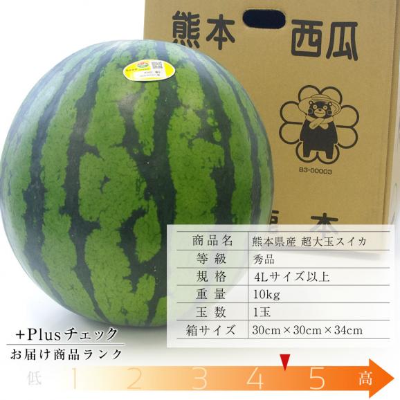 送料無料 熊本県産 超大玉スイカ 秀品 4lサイズ以上 10キロ 西瓜 すいか 産直だより Plus の通販 お取り寄せなら ぐるすぐり