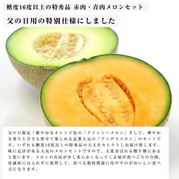 父の日ギフト 茨城県産 特秀メロンセット アンデス クインシー 特秀品 3lサイズ 各1玉ずつ 2 5キロ 送料無料 青肉メロン 赤肉メロン 産直だより Plus の通販 お取り寄せなら ぐるすぐり