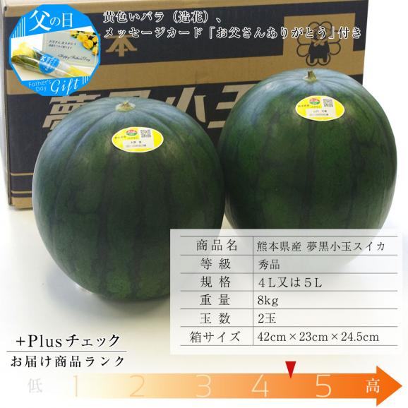 父の日ギフト 熊本県産 夢黒小玉スイカ2玉セット 秀品 ４lサイズ以上 8キロ 4キロ 2玉 西瓜 父の日プレゼント 産直だより Plus の通販 お取り寄せなら ぐるすぐり