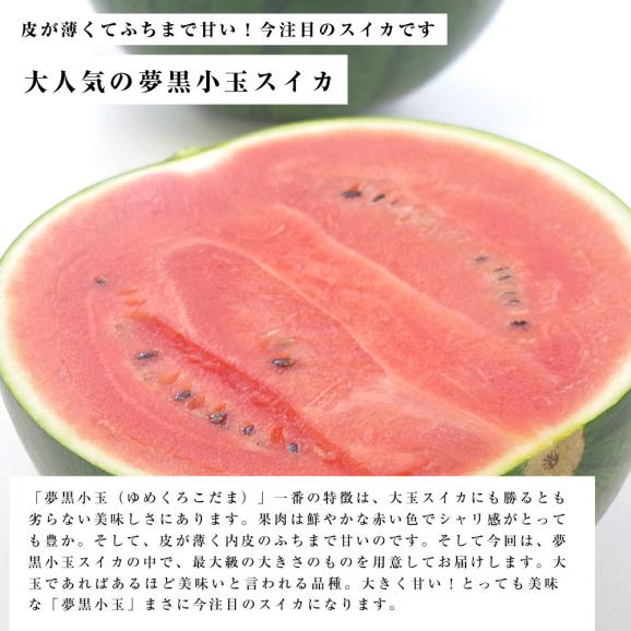 父の日ギフト 熊本県産 夢黒小玉スイカ2玉セット 秀品 ４lサイズ以上 8キロ 4キロ 2玉 西瓜 父の日プレゼント 産直だより Plus の通販 お取り寄せなら ぐるすぐり