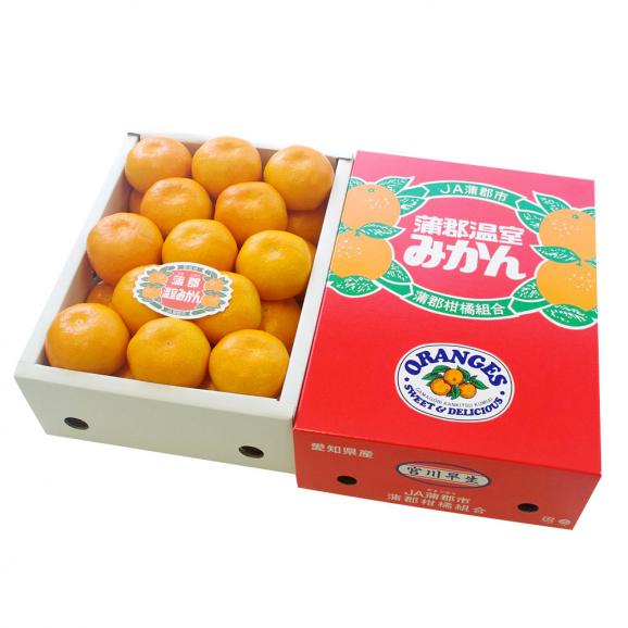 愛知県産 蒲郡温室みかん Mサイズ 2 5キロ化粧箱 24玉入り 蜜柑 ハウスみかん 送料無料 産直だより Plus の通販 お取り寄せなら ぐるすぐり