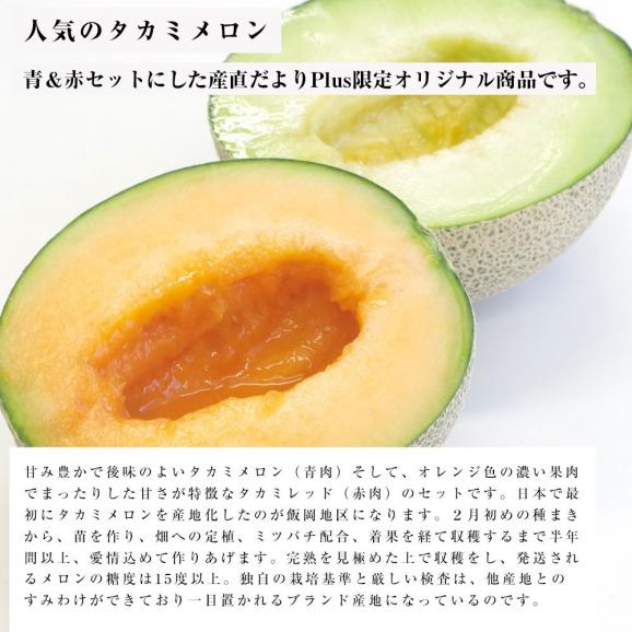 千葉県産 タカミメロンセット 特秀品 3lサイズ タカミメロン 青肉 1玉 タカミレッド 赤肉 1玉 送料無料 貴味メロン たかみ 産直だより Plus の通販 お取り寄せなら ぐるすぐり