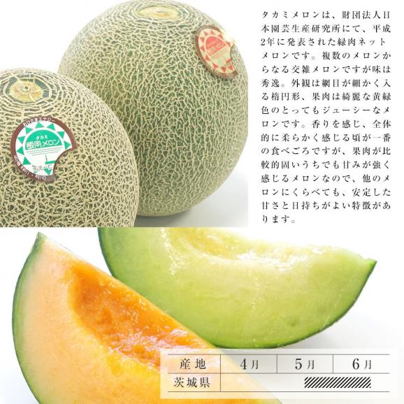 千葉県産 タカミメロンセット 特秀品 3lサイズ タカミメロン 青肉 1玉 タカミレッド 赤肉 1玉 送料無料 貴味メロン たかみ 産直だより Plus の通販 お取り寄せなら ぐるすぐり