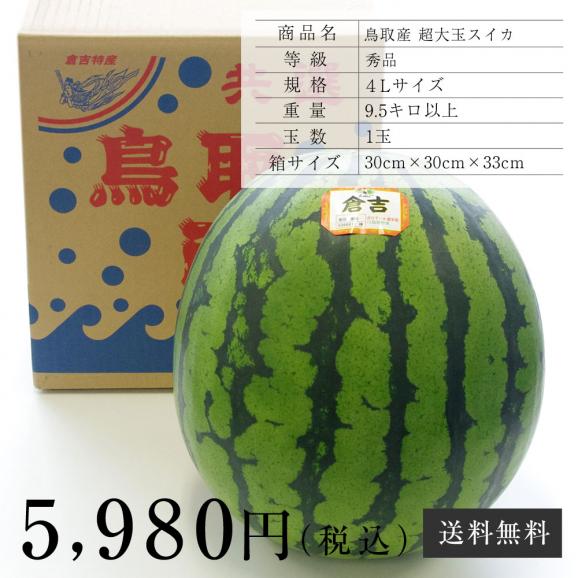 送料無料 鳥取県産 超大玉スイカ 秀品 4lサイズ以上 1玉 約9 5キロ すいか 西瓜 産直だより Plus の通販 お取り寄せなら ぐるすぐり 送料無料 鳥取県産 超大玉スイカ 秀品 4lサイズ以上 1玉 約9 5キロ すいか 西瓜 産直だより Plus の通販 お取り寄せなら ぐるすぐり