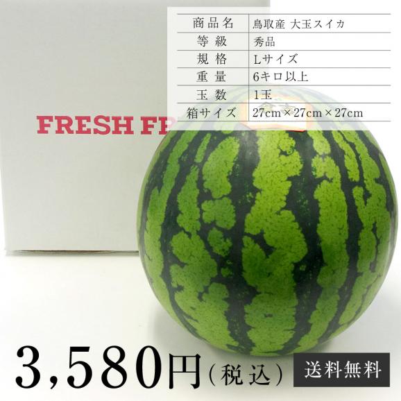 送料無料 鳥取県産 大玉スイカ 秀品 Lサイズ 約6キロ 1玉 すいか 西瓜 産直だより Plus の通販 お取り寄せなら ぐるすぐり 送料無料 鳥取県産 大玉スイカ 秀品 Lサイズ 約6キロ 1玉 すいか 西瓜 産直だより Plus の通販 お取り寄せなら ぐるすぐり