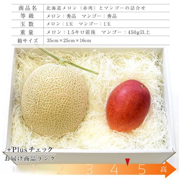 北海道メロンと宮崎マンゴー 詰合せフルーツセット 化粧箱入り めろん まんごー 送料無料 お中元ギフト 産直だより Plus の通販 お取り寄せなら ぐるすぐり