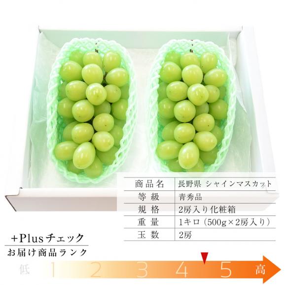 送料無料 長野県産 シャインマスカット 青秀品 500g 2房 化粧箱 ぶどう 葡萄 ブドウ マスカット 産直だより Plus の通販 お取り寄せなら ぐるすぐり 送料無料 長野県産 シャインマスカット 青秀品 500g 2房 化粧箱 ぶどう 葡萄 ブドウ マスカット 産直だより Plus の通販 お取り寄せなら ぐるすぐり