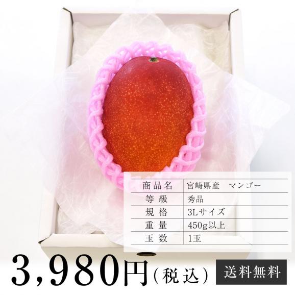 送料無料 宮崎県産 完熟マンゴー 3lサイズ 460g以上 1玉 まんごー 夏ギフト19 産直だより Plus の通販 お取り寄せなら ぐるすぐり