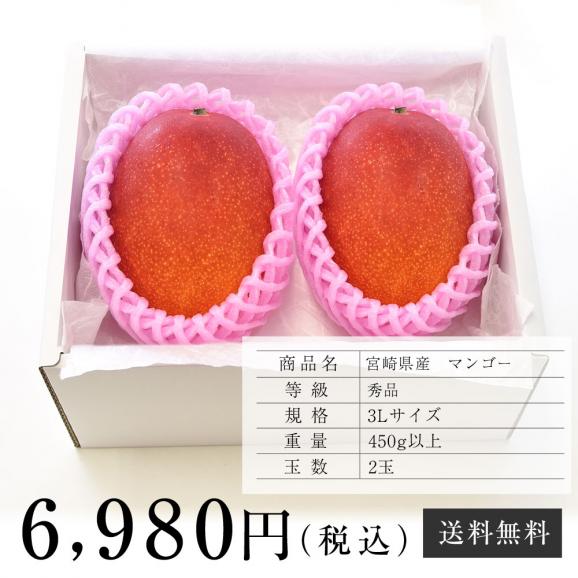 送料無料 宮崎県産 完熟マンゴー ３lサイズ 460g以上 2玉 まんごー 夏ギフト19 産直だより Plus の通販 お取り寄せなら ぐるすぐり