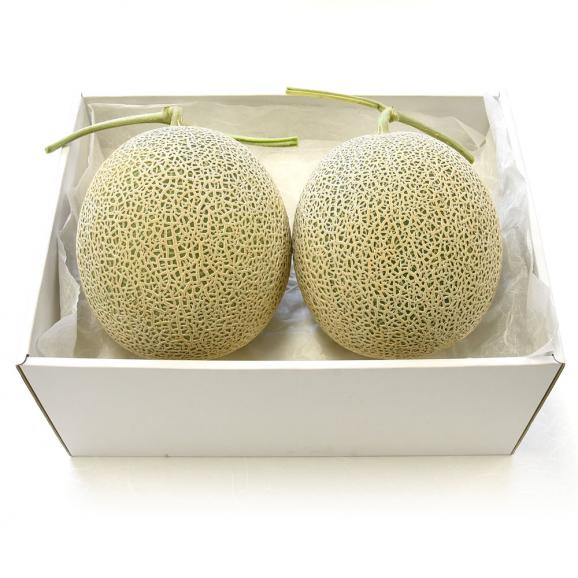 送料無料 北海道産 赤肉メロン 2玉入り 1 5キロ 2 めろん 産直だより Plus の通販 お取り寄せなら ぐるすぐり 送料無料 北海道産 赤肉メロン 2玉入り 1 5キロ 2 めろん 産直だより Plus の通販 お取り寄せなら ぐるすぐり