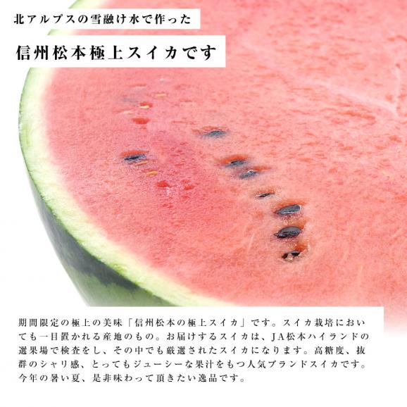 送料無料 長野県産 超大玉スイカ 秀品 5lサイズ 1玉 11キロ前後 すいか 西瓜 大玉スイカ 産直だより Plus の通販 お取り寄せなら ぐるすぐり