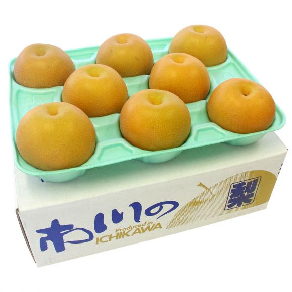 送料無料 千葉県産 柏井の特秀梨 豊水 約3キロ 7玉から9玉 梨 なし 和梨 産直だより Plus の通販 お取り寄せなら ぐるすぐり