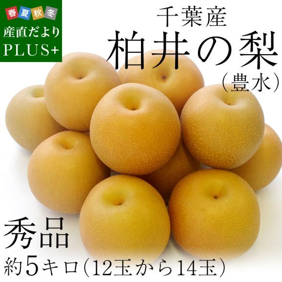 送料無料 千葉県産 柏井の梨 豊水梨 秀品 約5キロ 12玉から14玉 なし 和梨 産直だより Plus の通販 お取り寄せなら ぐるすぐり