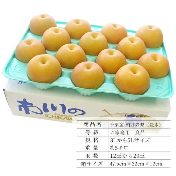 送料無料 千葉県産 柏井の梨 豊水梨 ご家庭用 良品 約5キロ 12玉から玉 なし 和梨 産直だより Plus の通販 お取り寄せなら ぐるすぐり