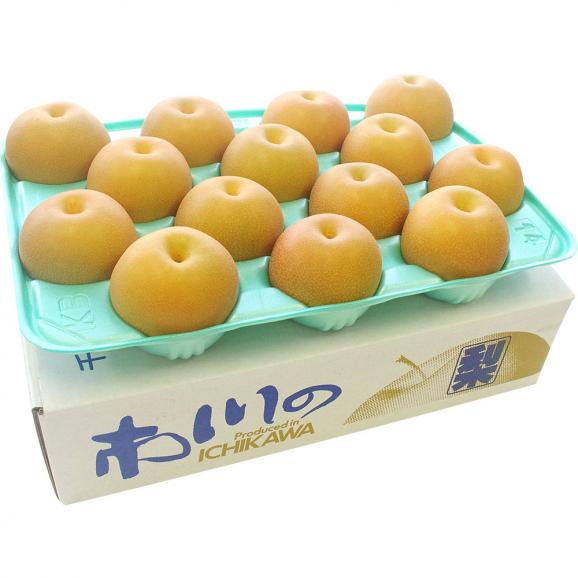 送料無料 千葉県産 柏井の梨 あきづき梨 秀品 5キロ 12玉から16玉 なし 和梨 産直だより Plus の通販 お取り寄せなら ぐるすぐり