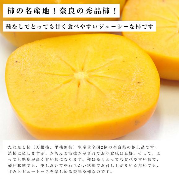 送料無料 奈良県産 たねなし柿 2lサイズ 約2 5キロ 10玉 柿 たねなし柿 刀根柿 平種無柿 産直だより Plus の通販 お取り寄せなら ぐるすぐり
