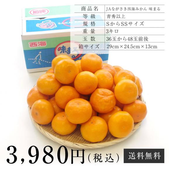 送料無料 長崎県産 jaながさき西海 西海みかん 味まる 青秀以上 Sからssサイズ 3キロ 36玉から48玉 みかん 早生みかん 産直だより Plus の通販 お取り寄せなら ぐるすぐり 送料無料 長崎県産 jaながさき西海 西海みかん 味まる 青秀以上 Sからssサイズ 3キロ 36玉から48玉 みかん 早生みかん 産直だより Plus の通販 お取り寄せなら ぐるすぐり